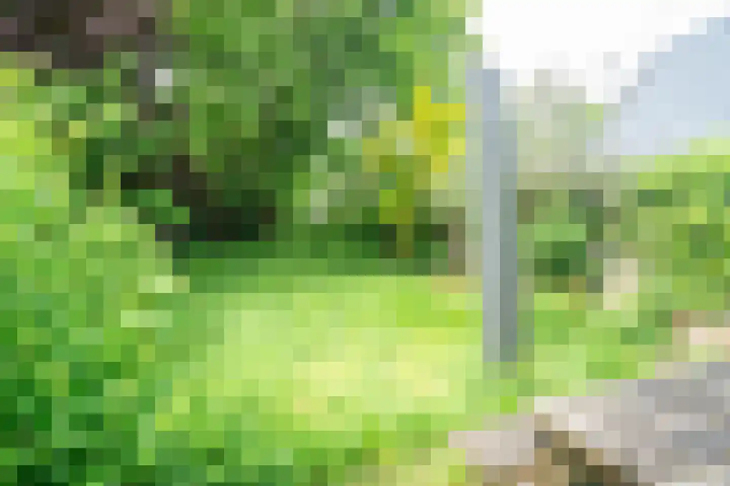 De Dreef 3 B053 Opmeer thumbnail 30