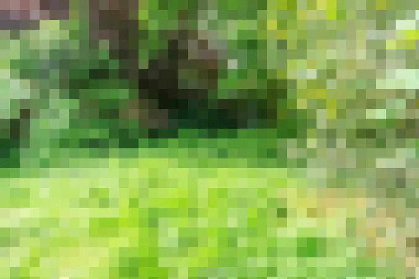 De Dreef 3 B053 Opmeer thumbnail 31