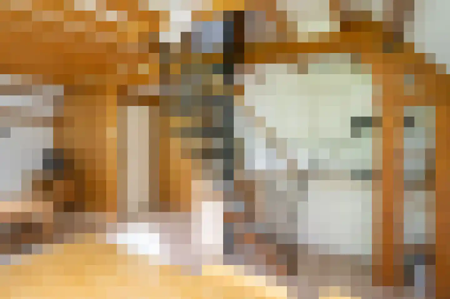 De Dreef 3 B053 Opmeer thumbnail 6