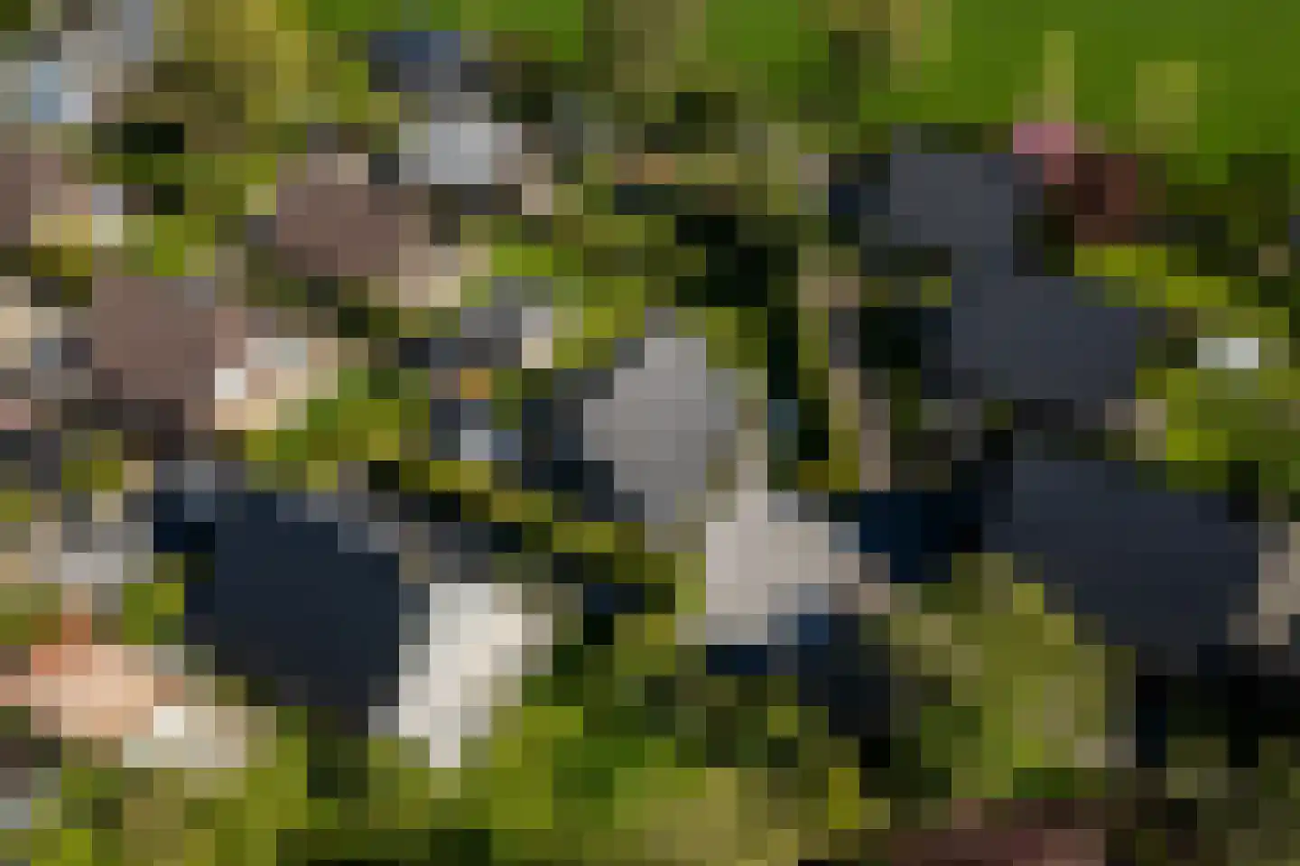 De Dreef 3 c 087 Opmeer thumbnail 23