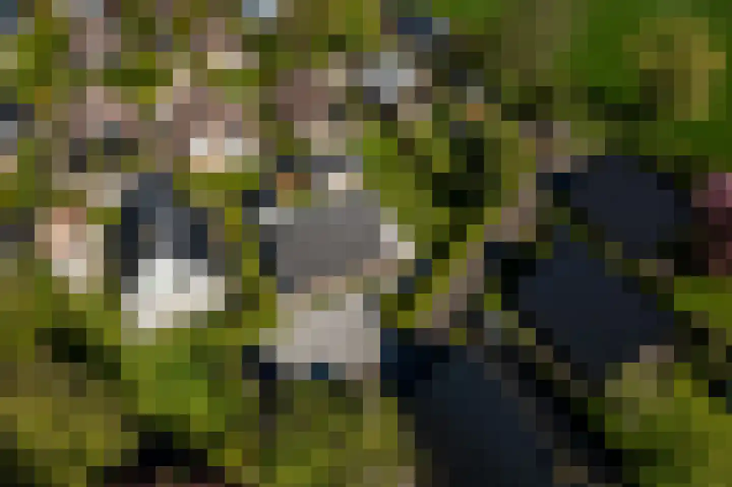 De Dreef 3 c 087 Opmeer thumbnail 24