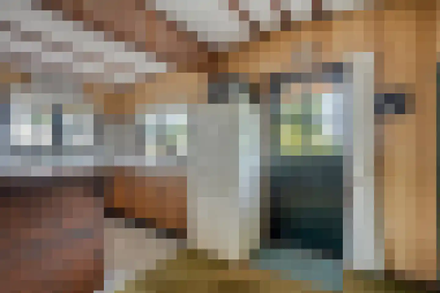 De Dreef 3 c 111 Opmeer thumbnail 11