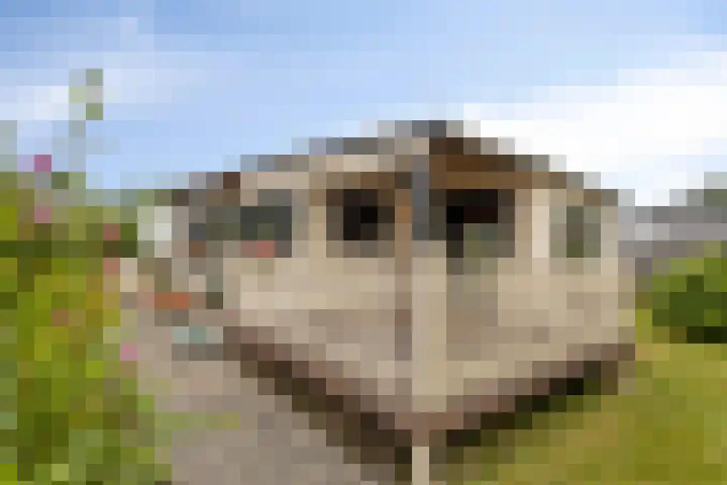 De Dreef 3 c 111 Opmeer thumbnail 19