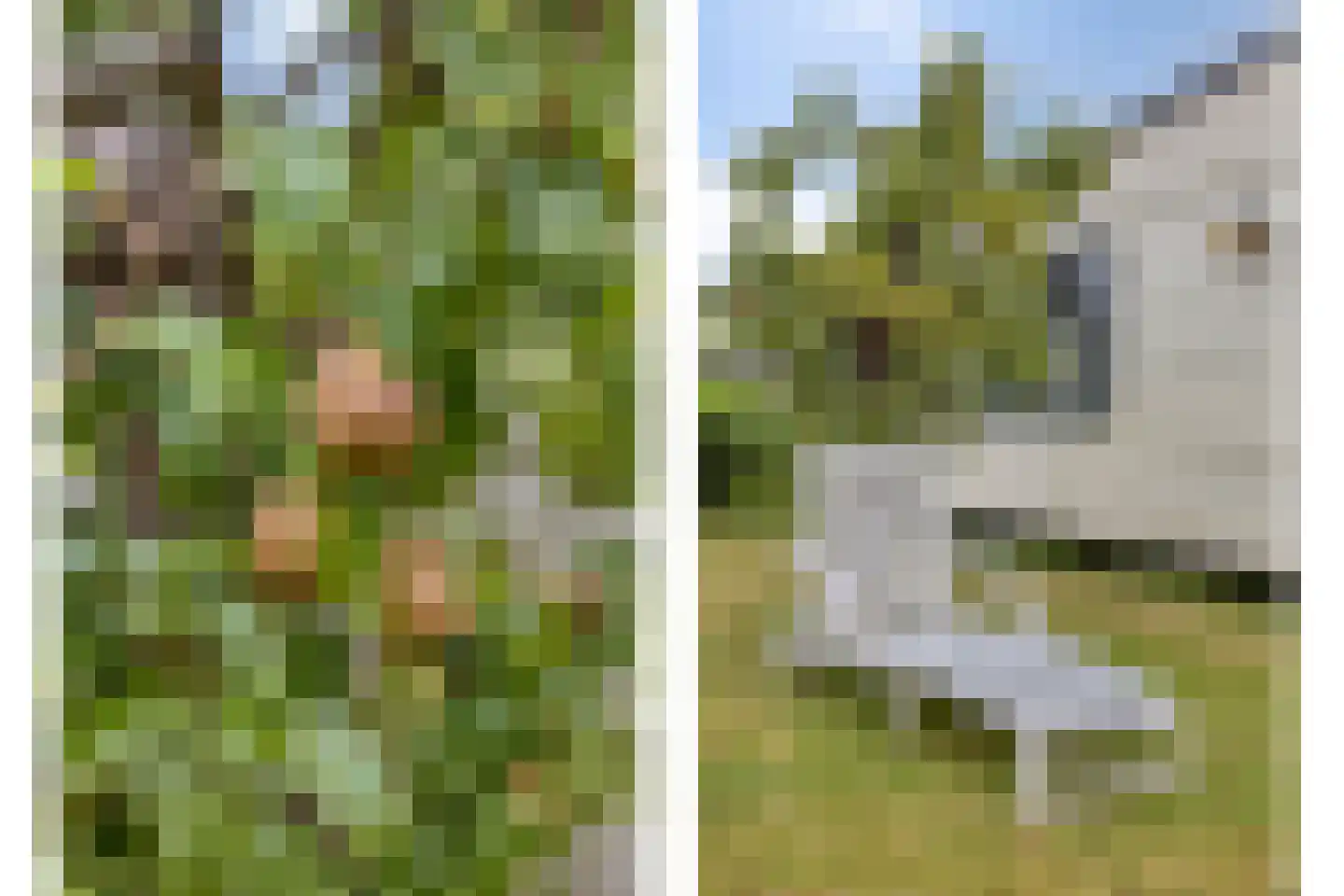 De Dreef 3 c 111 Opmeer thumbnail 25