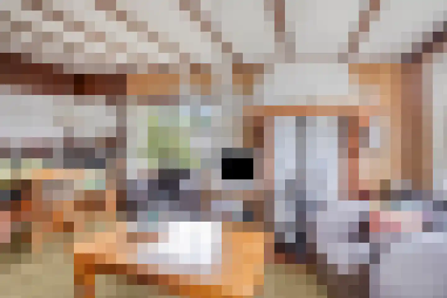 De Dreef 3 c 111 Opmeer thumbnail 6
