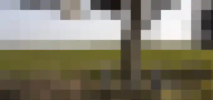 De Dreef 3 c 135 Opmeer thumbnail 10