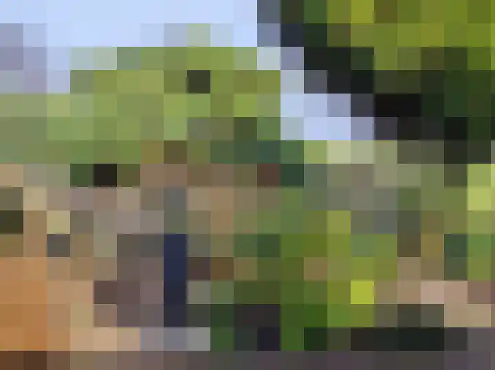 De Dreef 3 c 135 Opmeer thumbnail 11