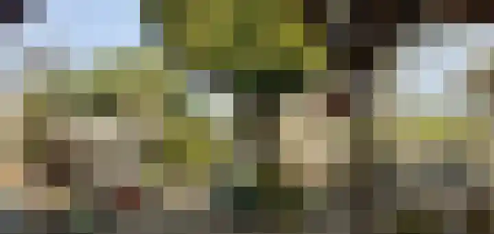 De Dreef 3 c 135 Opmeer thumbnail 12