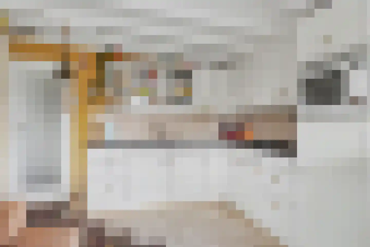 De Dreef 3 c 135 Opmeer thumbnail 13