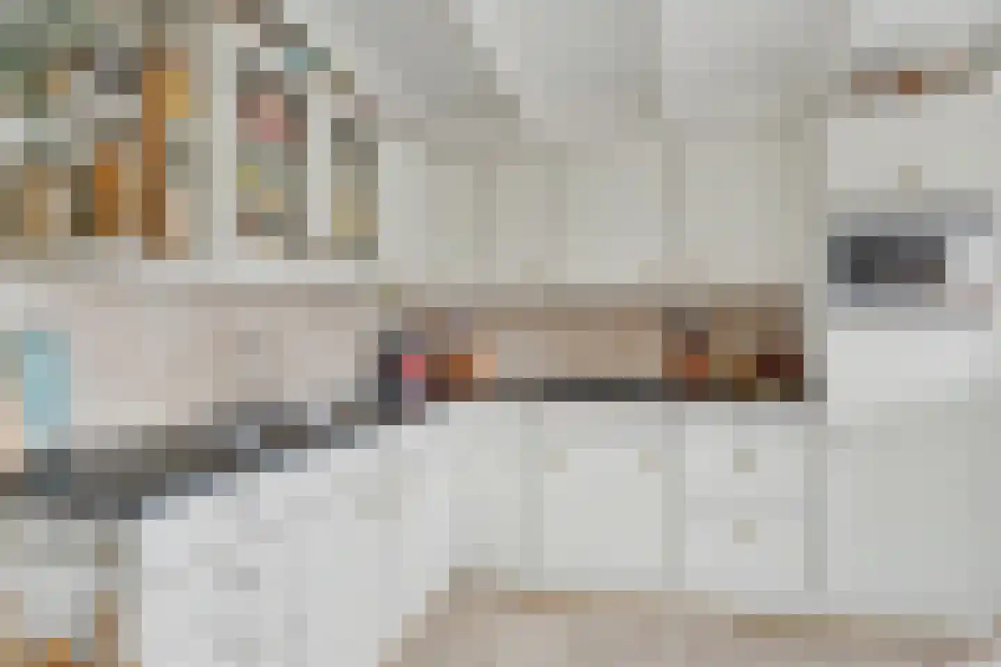 De Dreef 3 c 135 Opmeer thumbnail 14