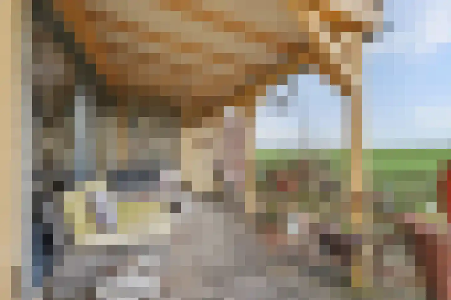 De Dreef 3 c 135 Opmeer thumbnail 24