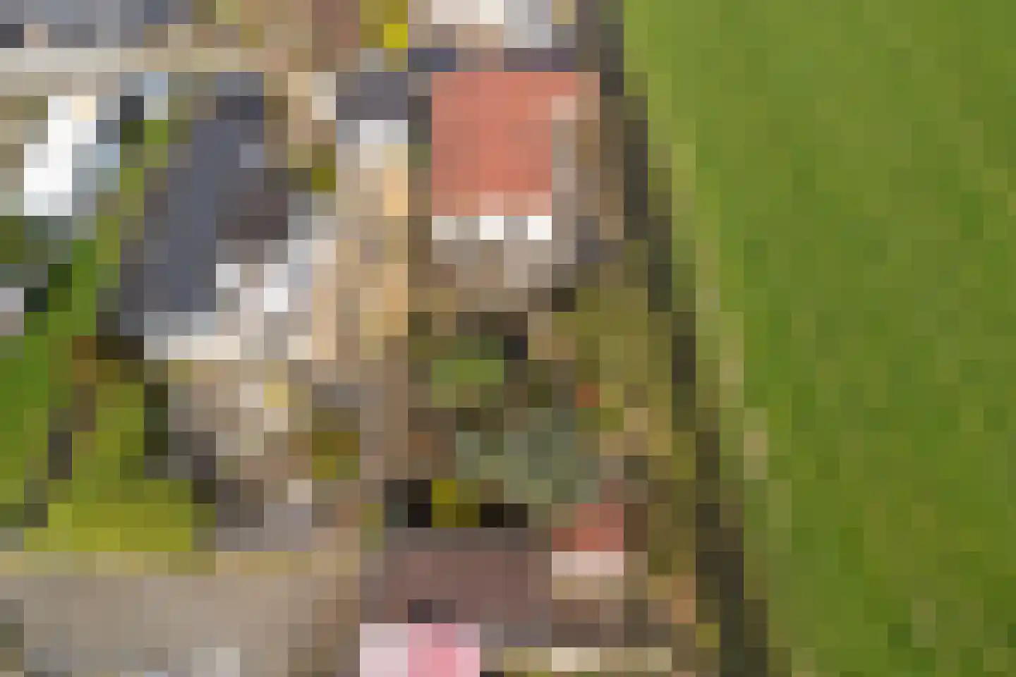 De Dreef 3 c 135 Opmeer thumbnail 31