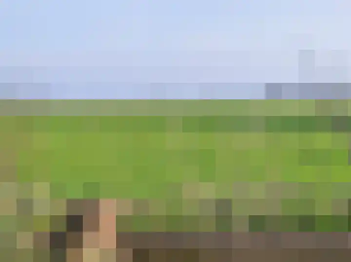 De Dreef 3 c 135 Opmeer thumbnail 9