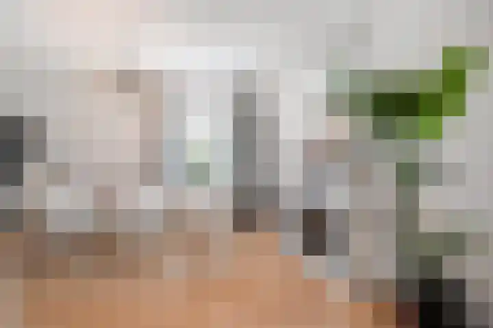 De Dreef 46 Schagen thumbnail 13