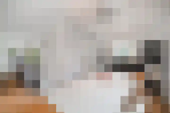 De Dreef 46 Schagen thumbnail 14