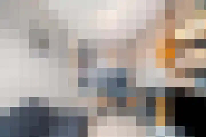 De Dreef 46 Schagen thumbnail 35