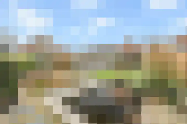 De Dreef 46 Schagen thumbnail 44