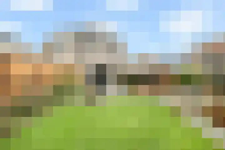 De Dreef 46 Schagen thumbnail 46