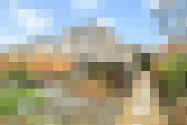 De Dreef 46 Schagen thumbnail 47