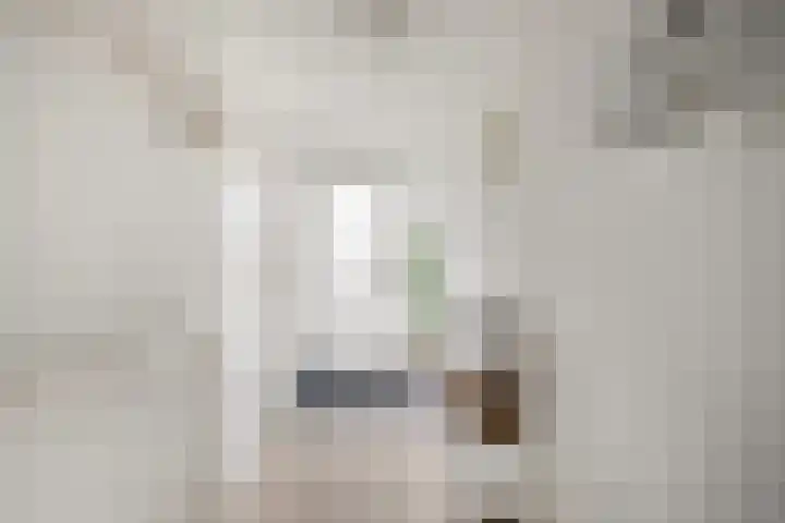 De Dreef 46 Schagen thumbnail 6
