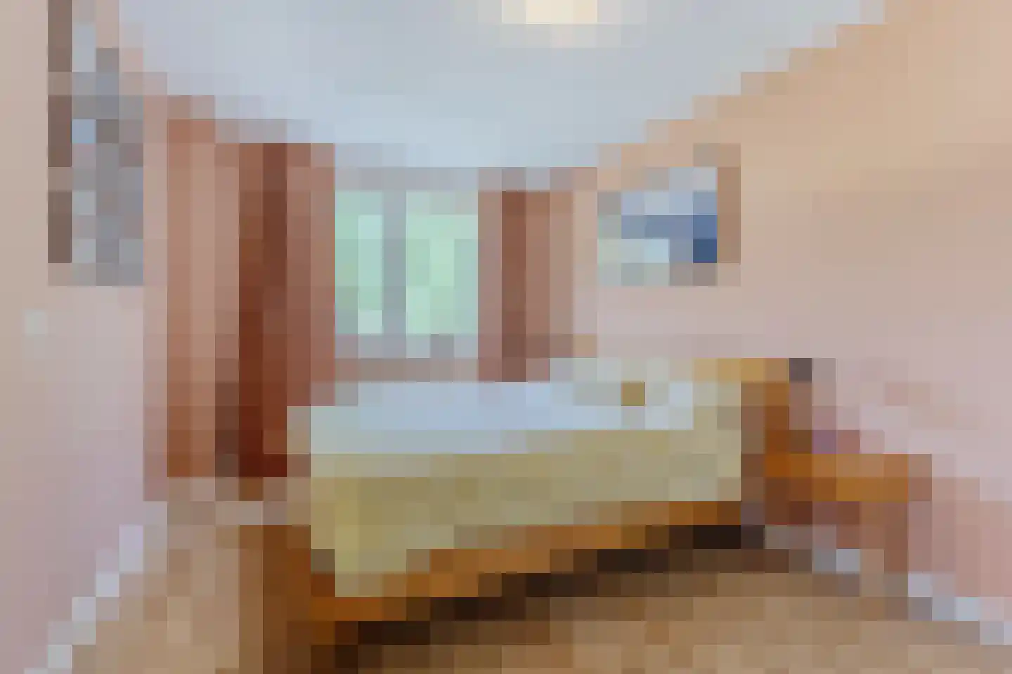De Dresch 6 Heiloo thumbnail 14