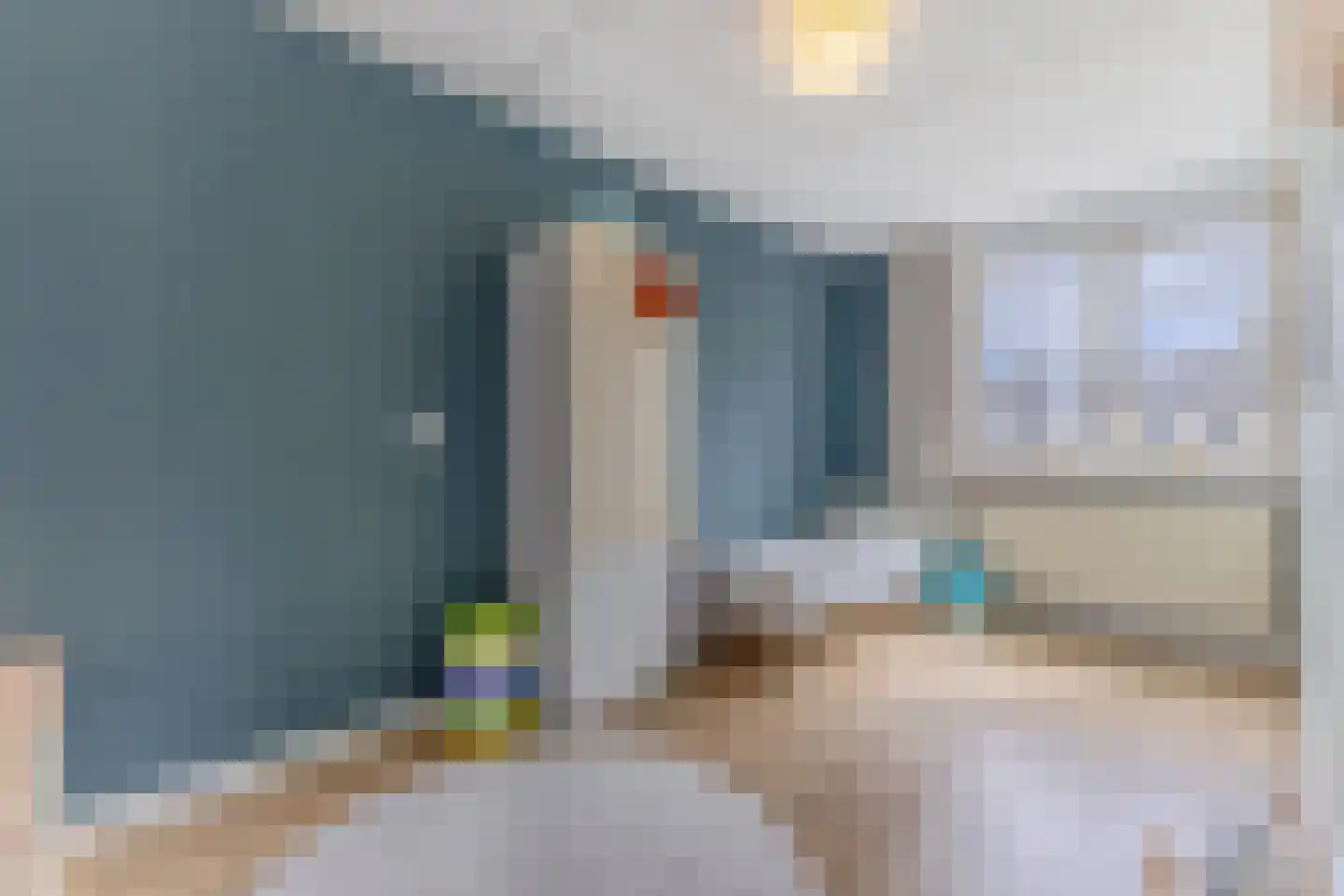 De Dresch 6 Heiloo thumbnail 18