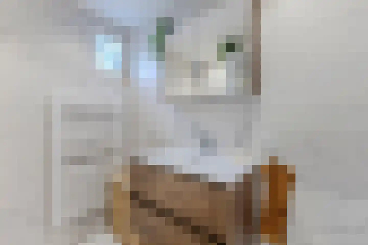 De Dresch 6 Heiloo thumbnail 21