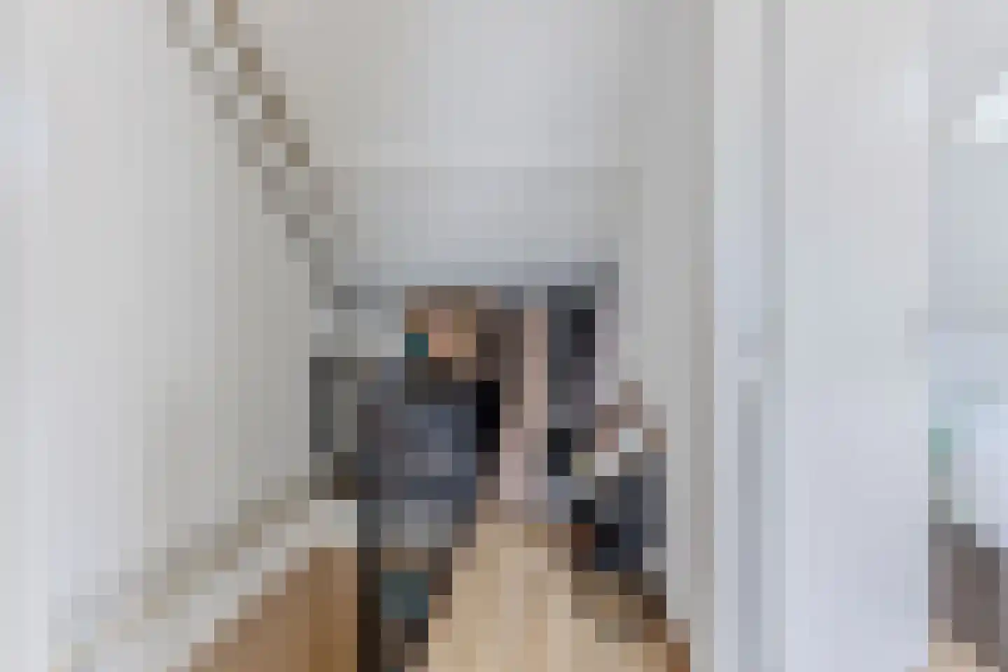 De Dresch 6 Heiloo thumbnail 23