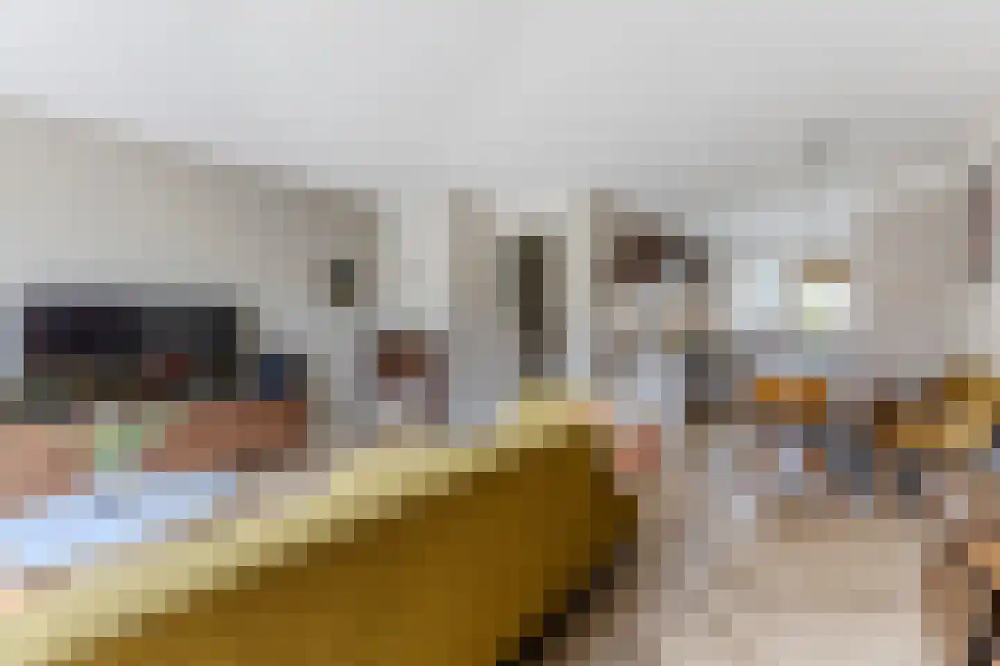 De Dresch 6 Heiloo thumbnail 5