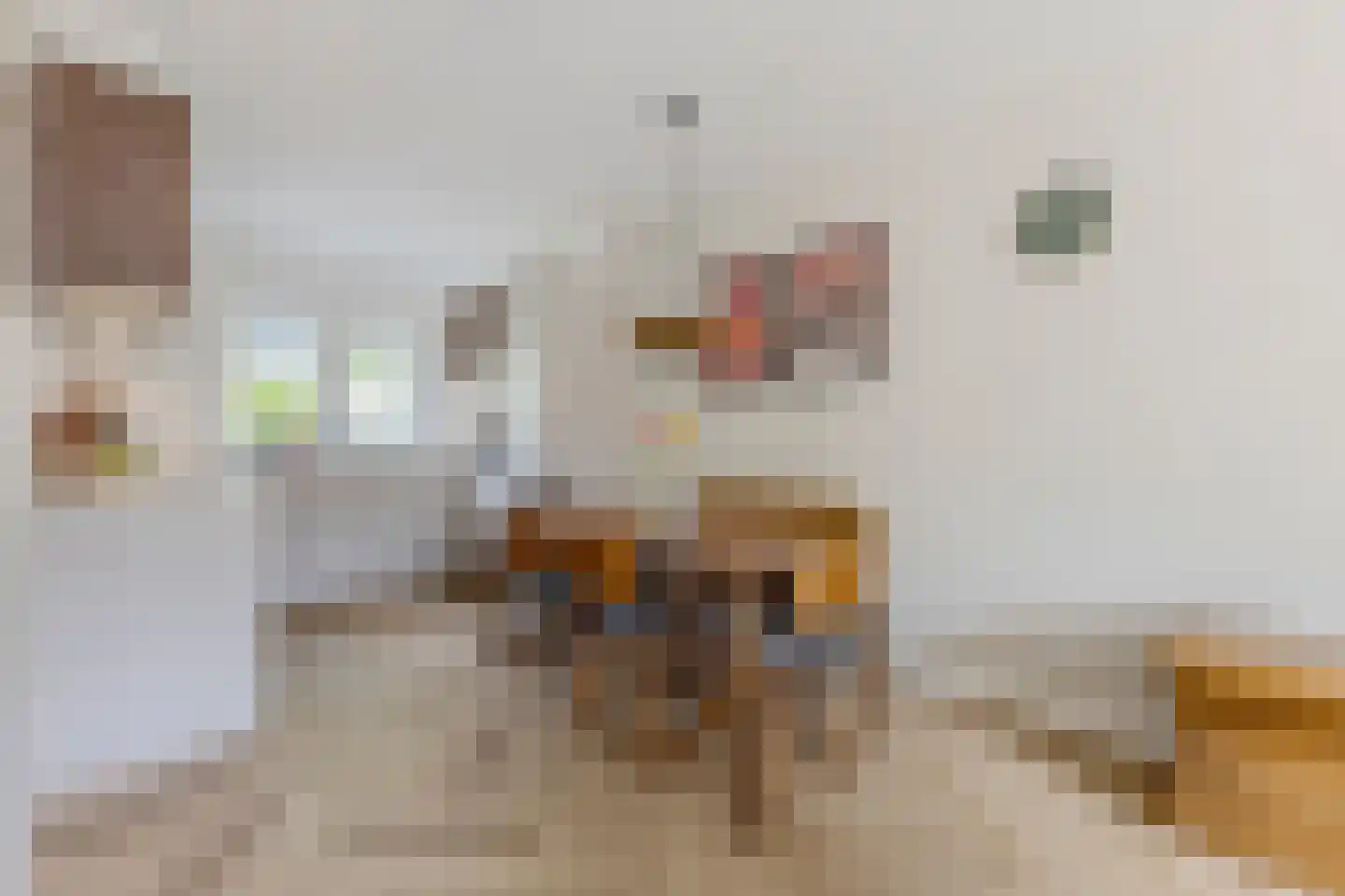 De Dresch 6 Heiloo thumbnail 6