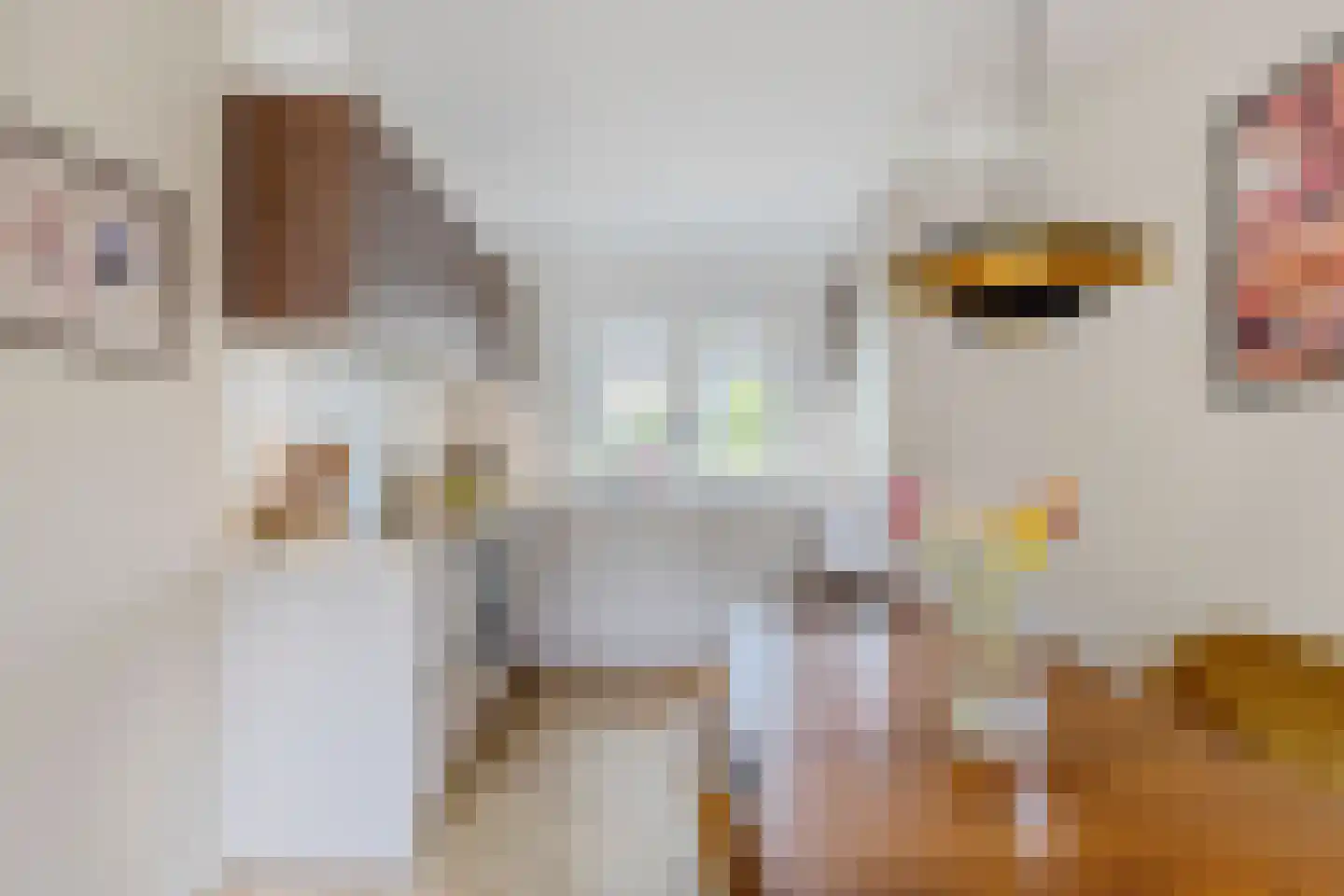 De Dresch 6 Heiloo thumbnail 7
