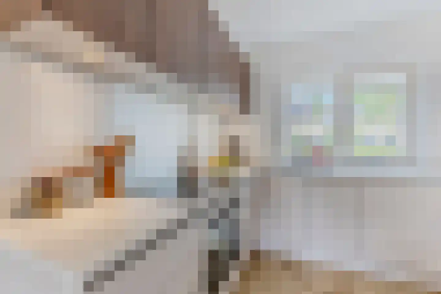 De Dresch 6 Heiloo thumbnail 8