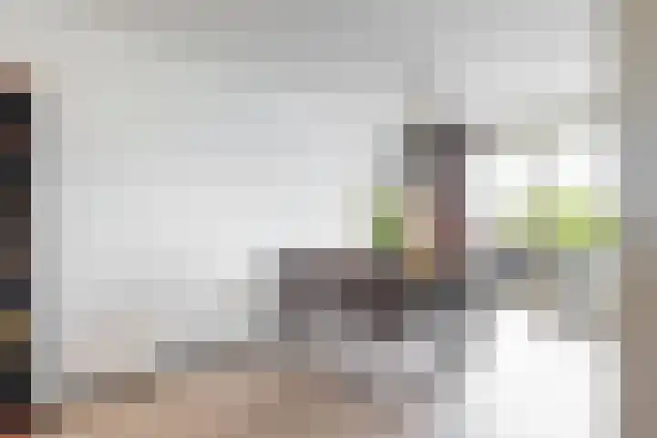De Drie Linden 8 Limmen thumbnail 13
