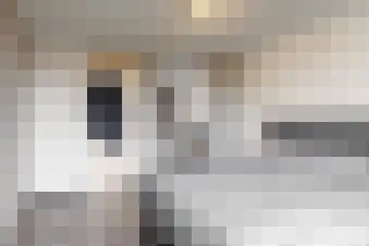 De Drie Linden 8 Limmen thumbnail 16