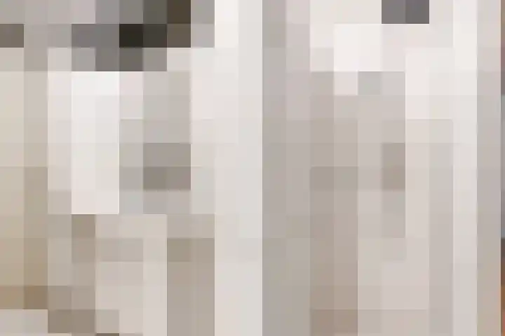 De Drie Linden 8 Limmen thumbnail 17