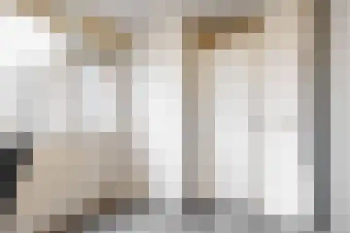 De Drie Linden 8 Limmen thumbnail 20