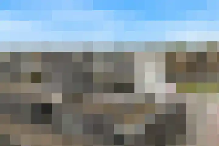 De Drie Linden 8 Limmen thumbnail 25
