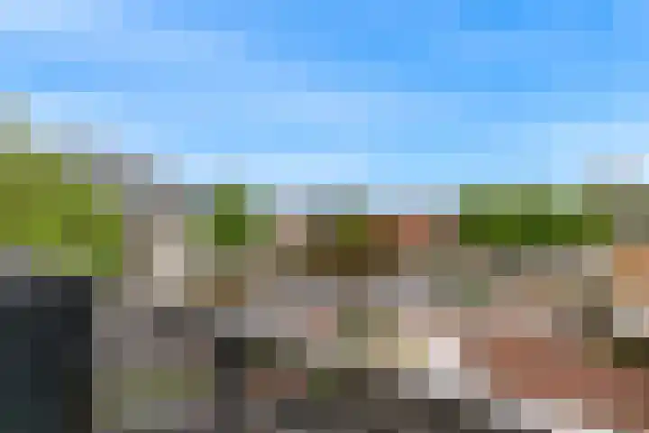 De Drie Linden 8 Limmen thumbnail 26