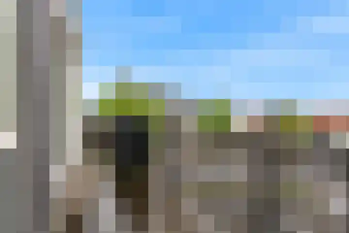 De Drie Linden 8 Limmen thumbnail 28