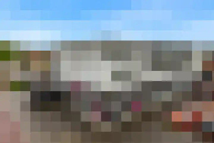 De Drie Linden 8 Limmen thumbnail 32