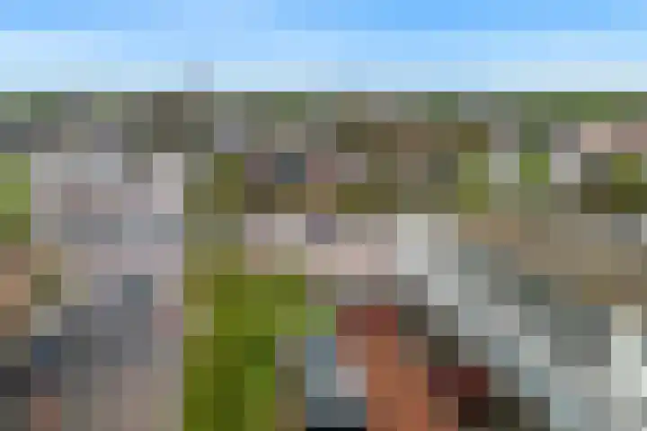 De Drie Linden 8 Limmen thumbnail 34
