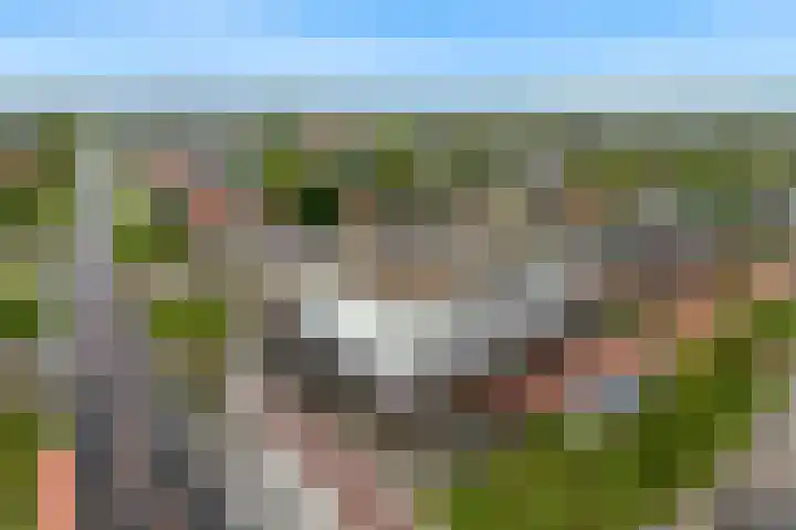 De Drie Linden 8 Limmen thumbnail 35