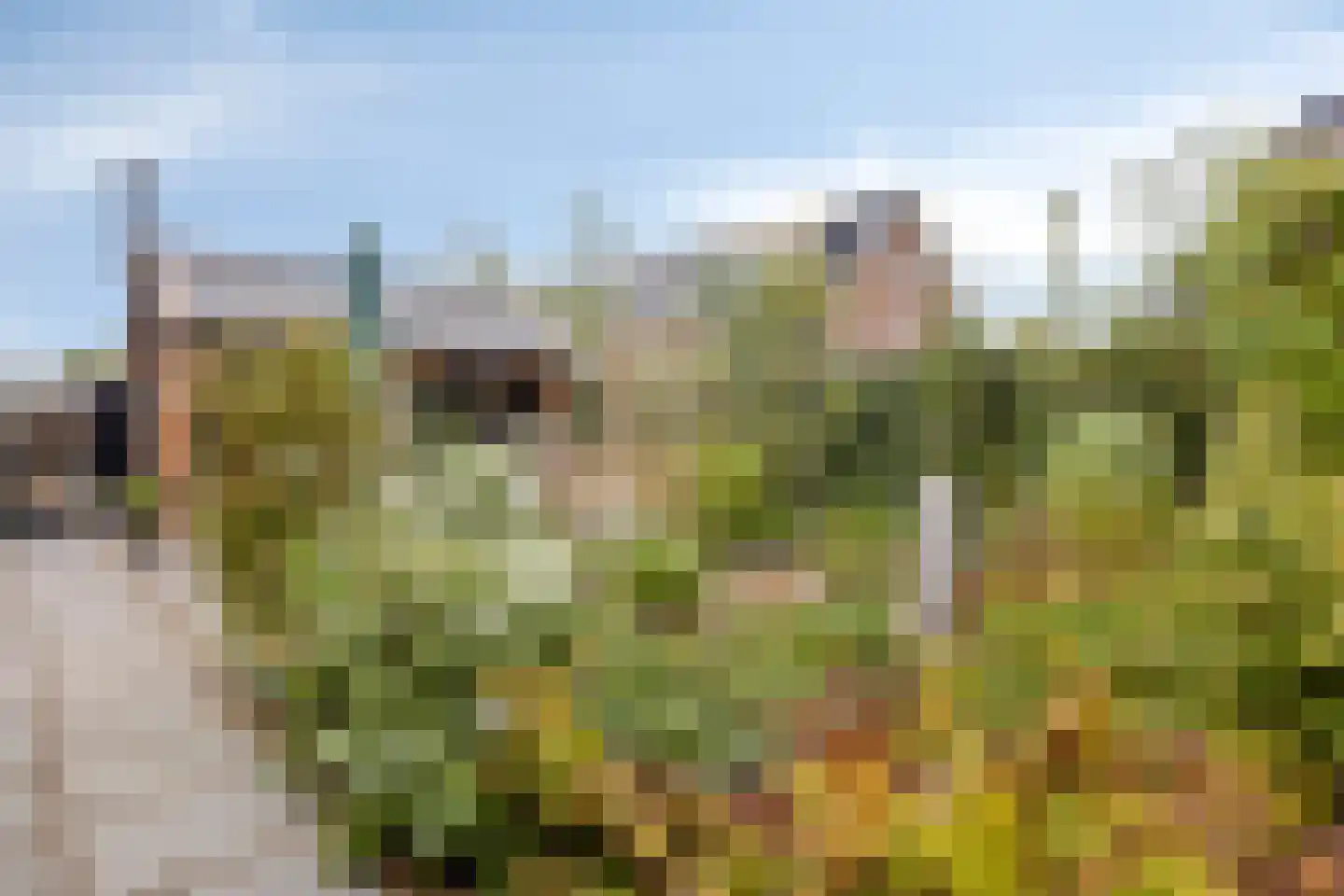 De Drie Merenweg 34 Zuidoostbeemster thumbnail 32
