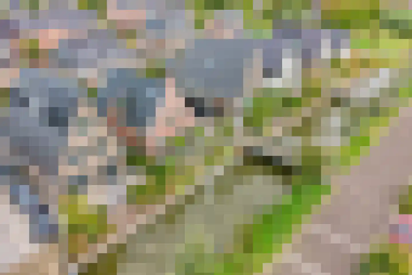 De Drie Merenweg 34 Zuidoostbeemster thumbnail 39