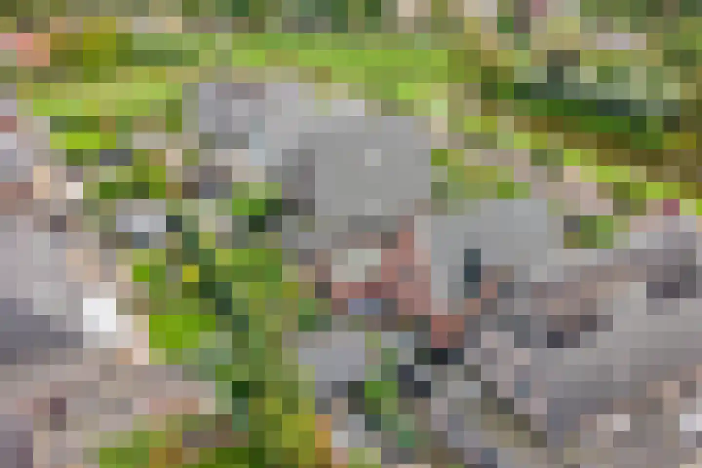 De Drie Merenweg 34 Zuidoostbeemster thumbnail 41