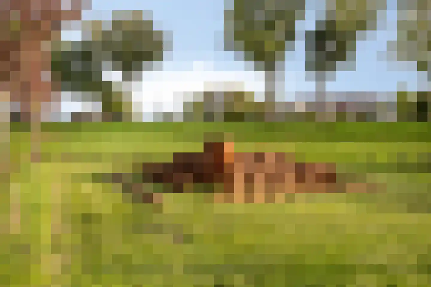 De Drie Merenweg 34 Zuidoostbeemster thumbnail 49
