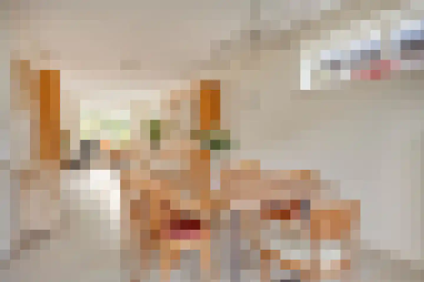 De Drie Merenweg 34 Zuidoostbeemster thumbnail 6