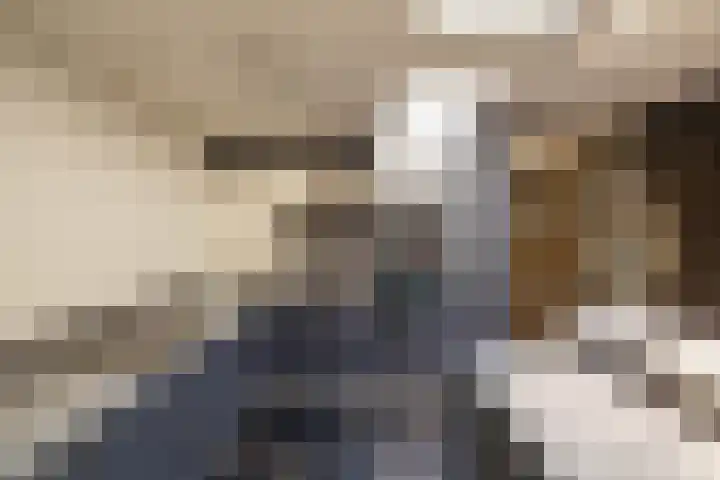 De Drie Rozen 22 Bedum thumbnail 13