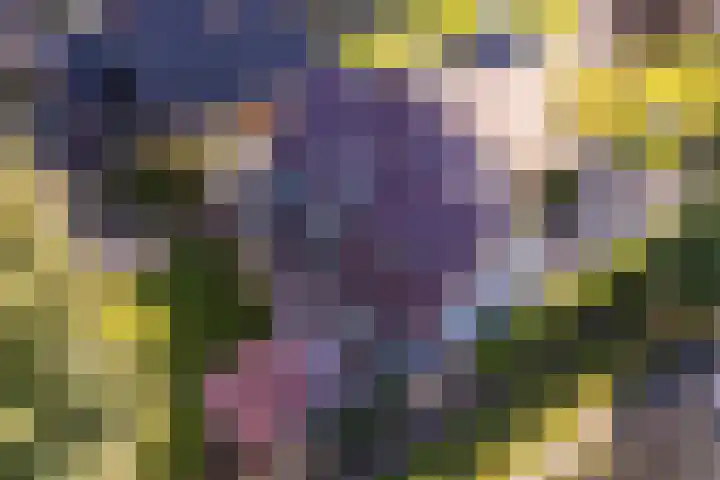 De Drie Rozen 22 Bedum thumbnail 21
