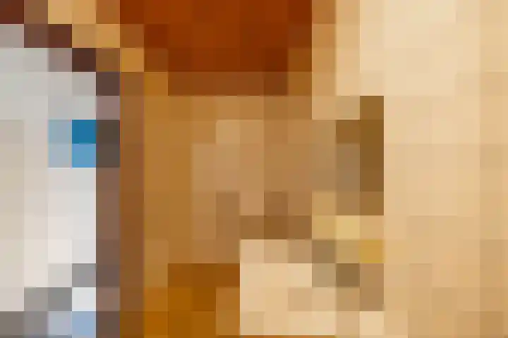 De Drie Rozen 22 Bedum thumbnail 24